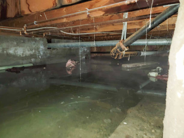 Best Fire Damage Restoration  in Anaconda, MT