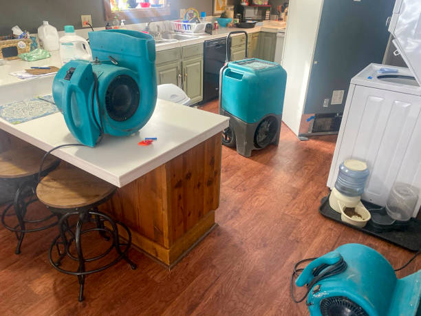 Best Water damage cleanup near me  in Anaconda, MT