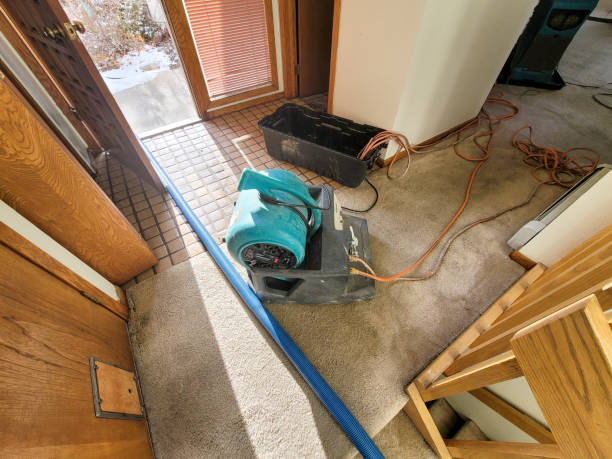Carpet water damage restoration in Anaconda, MT