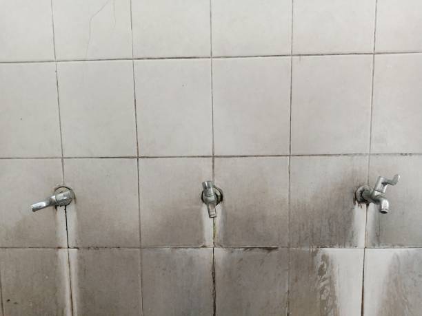 Best Water damage restoration experts  in Anaconda, MT