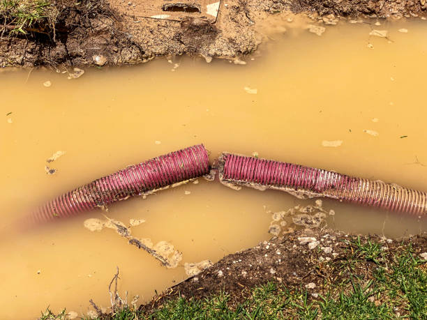Best Water damage restoration process  in Anaconda, MT