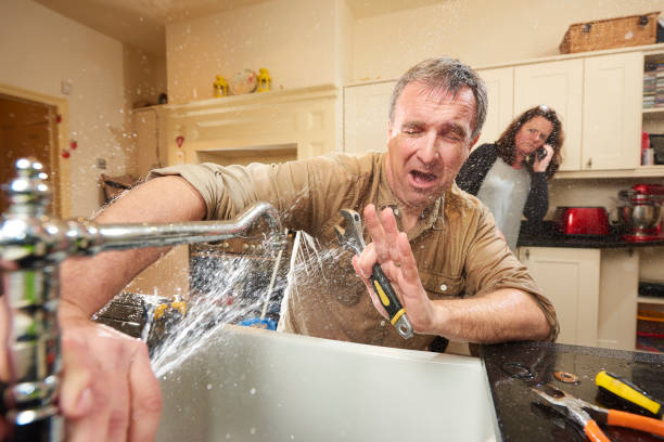 Best Water damage cleanup near me  in Anaconda, MT
